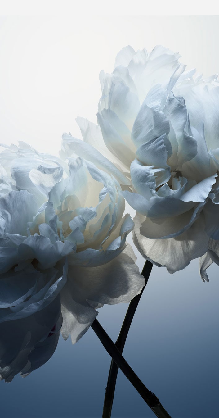 GOOD MAKEUP STARTS WITH GOOD SKINCARE